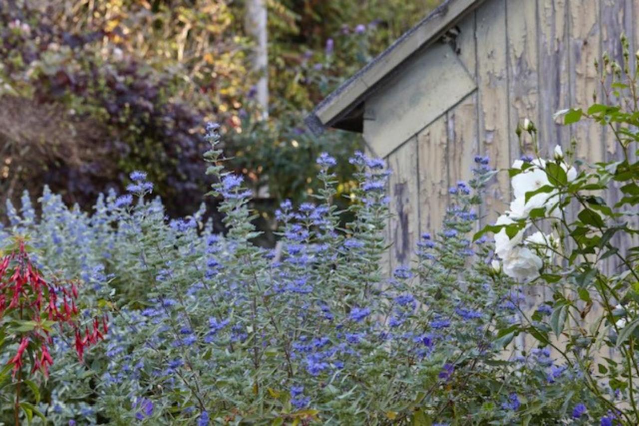 Lavender Cottage Beer Exterior foto